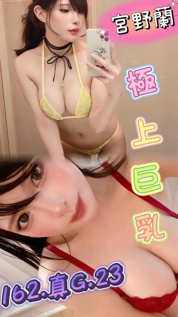 台中外送茶-宮野蘭 台中外送茶-宮野蘭