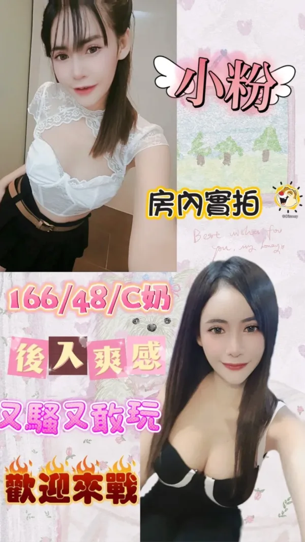 台北定點茶-小粉 台北定點茶-小粉