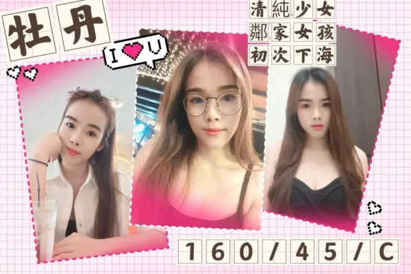 台北定點茶-牡丹 台北定點茶-牡丹