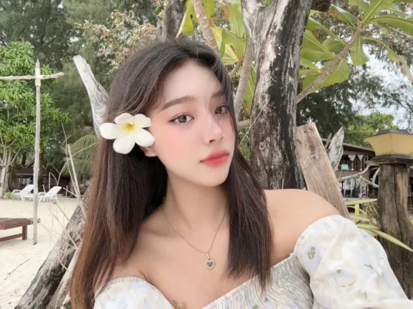 台北定點茶-金昭彌 台北定點茶-金昭彌