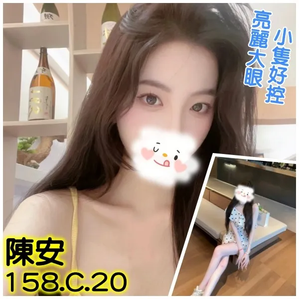 台北外送茶-陳安 台北外送茶-陳安