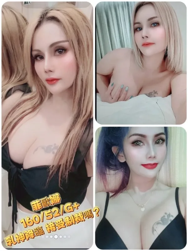 台北定點茶-菲歐娜 台北定點茶-菲歐娜