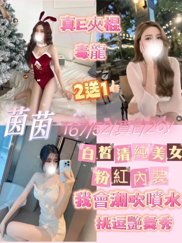 嘉義定點茶、外送茶-茵茵 嘉義定點茶、外送茶-茵茵