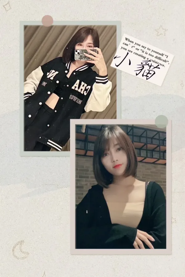 屏東定點茶-小貓 屏東定點茶-小貓